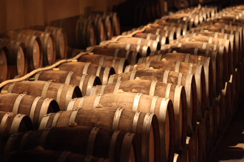 Scopri di più sull'articolo Barriques, Foreste e Navi Francesi