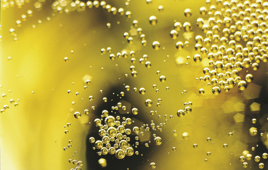 Scopri di più sull'articolo Degorgement Vs. Sboccatura?