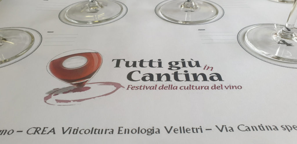 Scopri di più sull'articolo “Tutti giù in cantina”: un contenitore di cose interessanti…