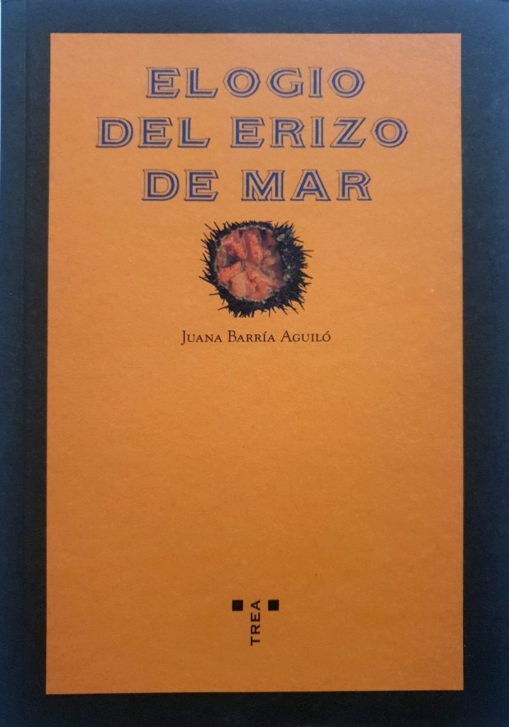Scopri di più sull'articolo Pablo Neruda e “il sole del mare”