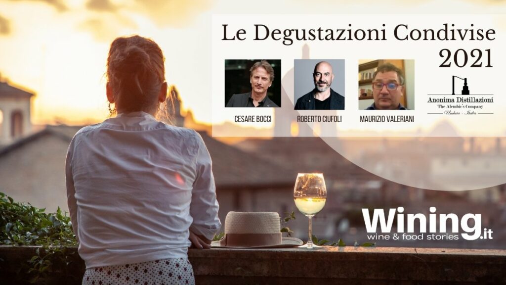 Scopri di più sull'articolo Le Degustazioni Condivise: il Gin di “Anonima Distillazioni”