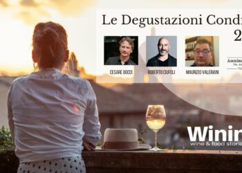 Le Degustazioni Condivise: “Pago dei Fusi” di Terredora di Paolo