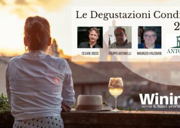 Le Degustazioni Condivise: “Pago dei Fusi” di Terredora di Paolo
