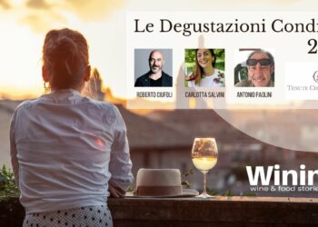 Le Degustazioni Condivise: “Pago dei Fusi” di Terredora di Paolo