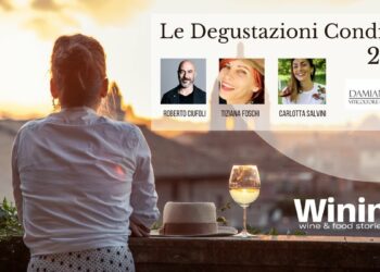 Le Degustazioni Condivise: “Pago dei Fusi” di Terredora di Paolo