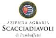 SCACCIADIAVOLI-LOGO